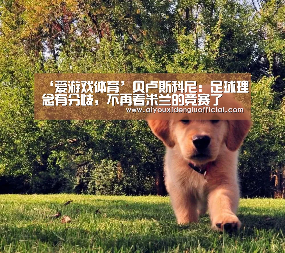 爱游戏体育