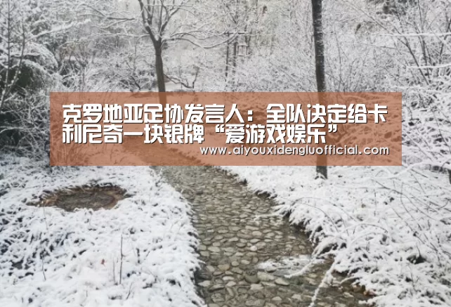 克罗地亚足协发言人:全队决定给卡利尼奇一块银牌“爱游戏娱乐”(图3) 爱游戏娱乐