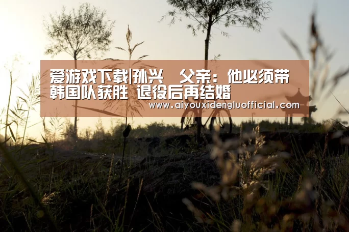 爱游戏下载